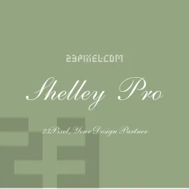 Shelley Script Lt Pro